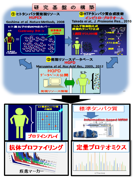 定量プロテオミクスチーム　研究概要